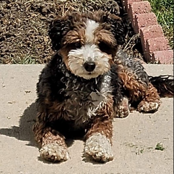 Meet your Posher, Sandra - Picture 2 of 6